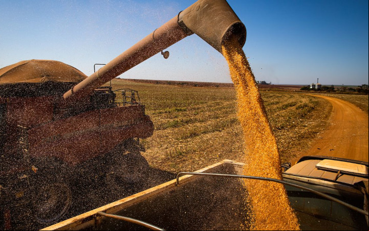 Clima no Brasil complica planos do agronegócio