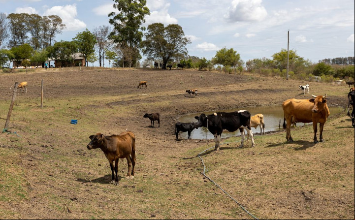 Seca e desertos, clima antecipa essas realidades pelo mundo