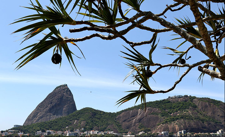 Justiça manda parar obra da tirolesa no Pão de Açúcar no Rio de Janeiro 