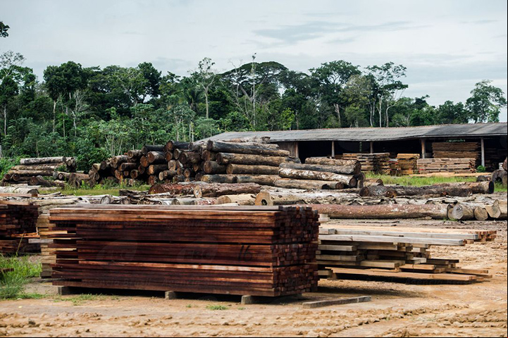 Balanço do ICMBio mostra crimes ambientais no Brasil
