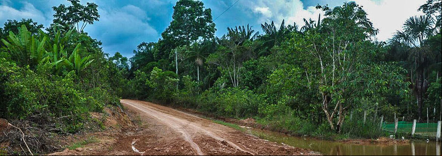 AGU bloqueia R$ 95,6 milhões de desmatadores na Amazônia