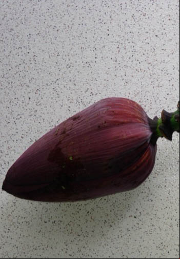 Banana, um dos alimentos mais completos, também tem coração